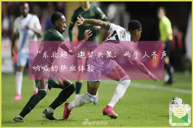 “东北超”邀你共聚：两千人齐声呐喊的热血体验